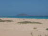 FEU_0595