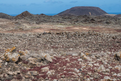 Fuerteventura02