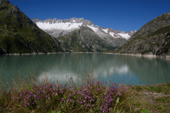 GOE_0007