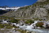 GOE_0050