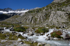 GOE_0050