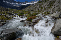 GOE_0055