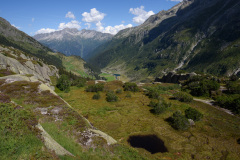 GOE_0109