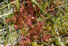 GOE_0116
