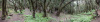 GOM_0077-Pano