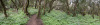 GOM_0084-Pano