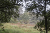 GOM_0095