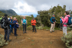 Gomera04