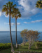 GOM_0110-Pano