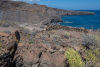 GOM_0292