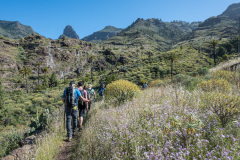 Gomera06