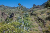 GOM_0320