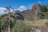 GOM_0329