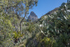 GOM_0333