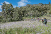 GOM_0337
