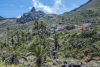 GOM_0362