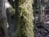 GOM_0456