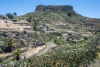 GOM_0618