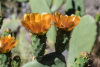 GOM_0830