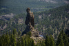 gc1_0706