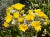 gc1_0916