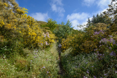 GCL_0164