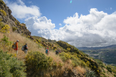 GCL_0180