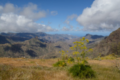 GCL_0197