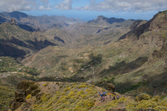 GCL_0204