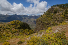 GCL_0220