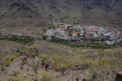 GCL_0329