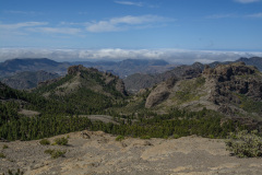 GCL_0421
