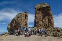 GCL_0431