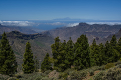 GCL_0473