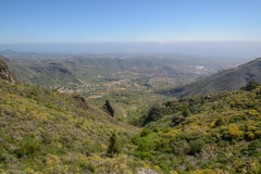 GCL_0532