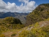 GCL_0220