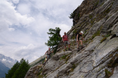 GSP_0471