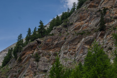 GSP_0482