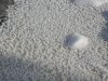dscn6147_r