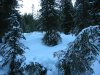 dscn6647_r