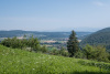 BUR_0030