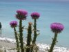 dscn2079_r