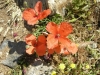 dscn1825_r