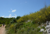 CRO_0424