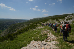 CRO_0543