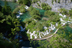 CRO_0697