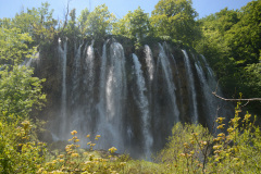 CRO_0780