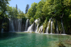 CRO_0796
