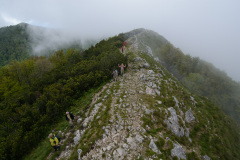 CRO_0844