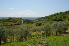 CRO_0901